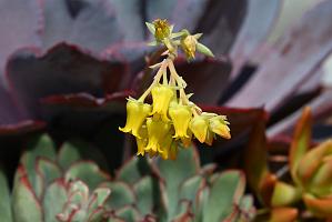 2025-08270174 Tower Hill Botanic Garden, MA